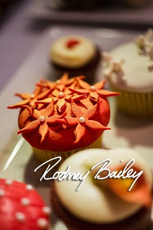 2-23-14 A Chic Affair-Rodney Bailey Wedding Photography-Longview Gallery-Washington DC- Wedding Show__0156