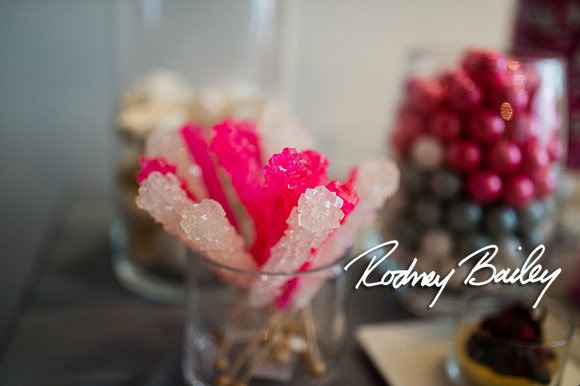 2-23-14 A Chic Affair-Rodney Bailey Wedding Photography-Longview Gallery-Washington DC- Wedding Show__0019