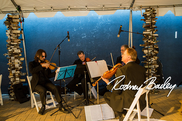 2-23-14 A Chic Affair-Rodney Bailey Wedding Photography-Longview Gallery-Washington DC- Wedding Show__0424