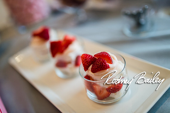2-23-14 A Chic Affair-Rodney Bailey Wedding Photography-Longview Gallery-Washington DC- Wedding Show__0020