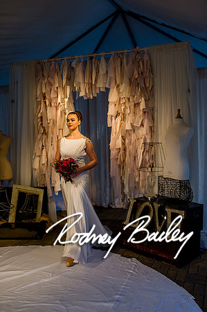 2-23-14 A Chic Affair-Rodney Bailey Wedding Photography-Longview Gallery-Washington DC- Wedding Show__0541