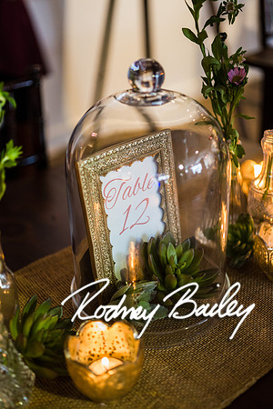 2-23-14 A Chic Affair-Rodney Bailey Wedding Photography-Longview Gallery-Washington DC- Wedding Show__0212