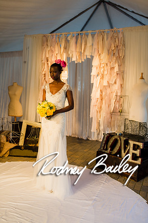 2-23-14 A Chic Affair-Rodney Bailey Wedding Photography-Longview Gallery-Washington DC- Wedding Show__0529
