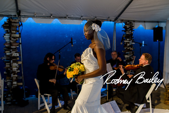 2-23-14 A Chic Affair-Rodney Bailey Wedding Photography-Longview Gallery-Washington DC- Wedding Show__0476