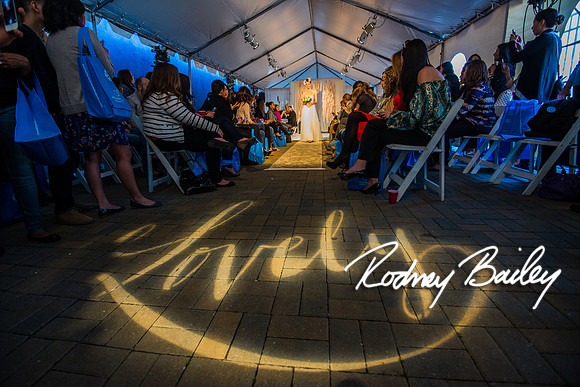 2-23-14 A Chic Affair-Rodney Bailey Wedding Photography-Longview Gallery-Washington DC- Wedding Show__0491