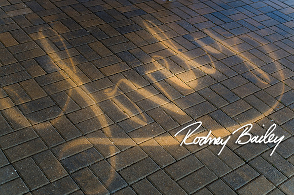 2-23-14 A Chic Affair-Rodney Bailey Wedding Photography-Longview Gallery-Washington DC- Wedding Show__0346