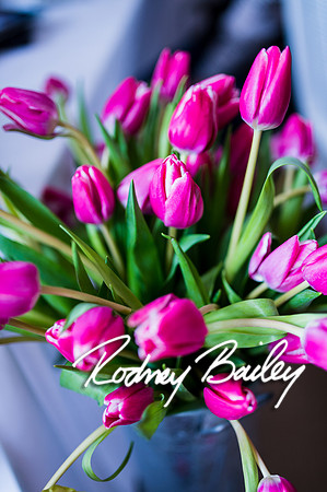 2-23-14 A Chic Affair-Rodney Bailey Wedding Photography-Longview Gallery-Washington DC- Wedding Show__0022