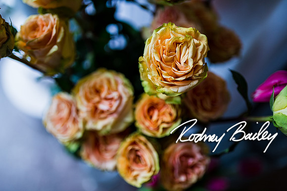 2-23-14 A Chic Affair-Rodney Bailey Wedding Photography-Longview Gallery-Washington DC- Wedding Show__0023