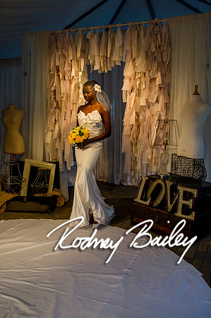2-23-14 A Chic Affair-Rodney Bailey Wedding Photography-Longview Gallery-Washington DC- Wedding Show__0475
