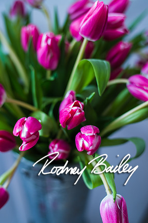 2-23-14 A Chic Affair-Rodney Bailey Wedding Photography-Longview Gallery-Washington DC- Wedding Show__0107