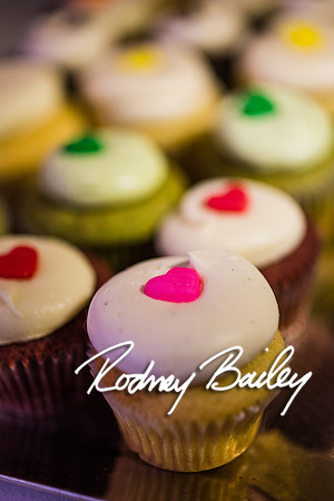 2-23-14 A Chic Affair-Rodney Bailey Wedding Photography-Longview Gallery-Washington DC- Wedding Show__0145