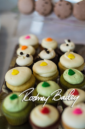 2-23-14 A Chic Affair-Rodney Bailey Wedding Photography-Longview Gallery-Washington DC- Wedding Show__0084