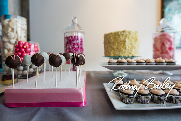 2-23-14 A Chic Affair-Rodney Bailey Wedding Photography-Longview Gallery-Washington DC- Wedding Show__0113