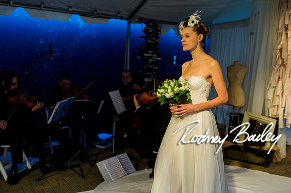 2-23-14 A Chic Affair-Rodney Bailey Wedding Photography-Longview Gallery-Washington DC- Wedding Show__0487