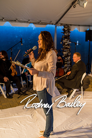 2-23-14 A Chic Affair-Rodney Bailey Wedding Photography-Longview Gallery-Washington DC- Wedding Show__0431