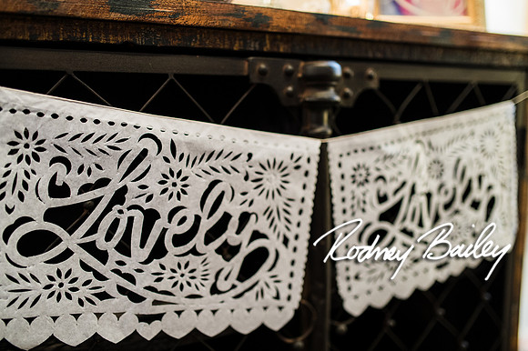 2-23-14 A Chic Affair-Rodney Bailey Wedding Photography-Longview Gallery-Washington DC- Wedding Show__0241