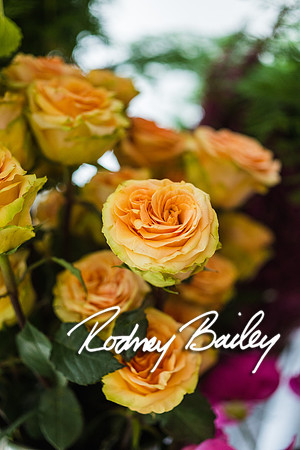 2-23-14 A Chic Affair-Rodney Bailey Wedding Photography-Longview Gallery-Washington DC- Wedding Show__0184