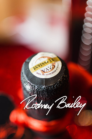 2-23-14 A Chic Affair-Rodney Bailey Wedding Photography-Longview Gallery-Washington DC- Wedding Show__0042
