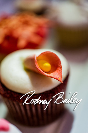 2-23-14 A Chic Affair-Rodney Bailey Wedding Photography-Longview Gallery-Washington DC- Wedding Show__0157