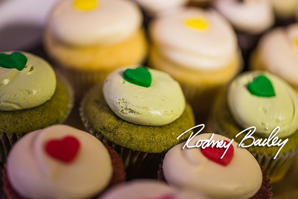 2-23-14 A Chic Affair-Rodney Bailey Wedding Photography-Longview Gallery-Washington DC- Wedding Show__0147