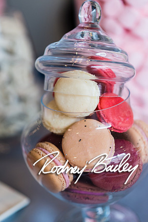 2-23-14 A Chic Affair-Rodney Bailey Wedding Photography-Longview Gallery-Washington DC- Wedding Show__0123