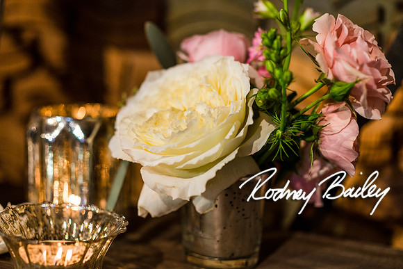 2-23-14 A Chic Affair-Rodney Bailey Wedding Photography-Longview Gallery-Washington DC- Wedding Show__0218