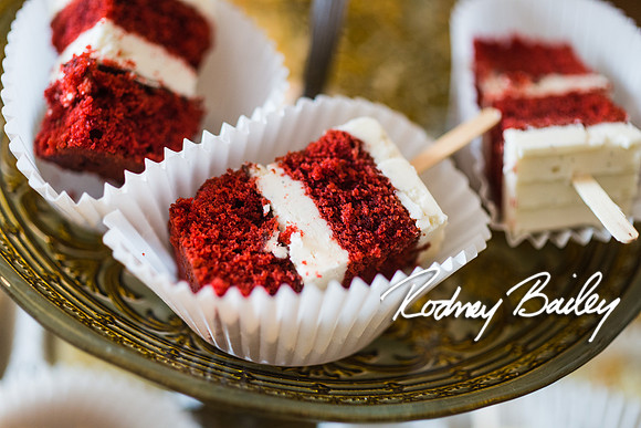 2-23-14 A Chic Affair-Rodney Bailey Wedding Photography-Longview Gallery-Washington DC- Wedding Show__0224
