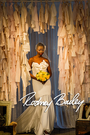 2-23-14 A Chic Affair-Rodney Bailey Wedding Photography-Longview Gallery-Washington DC- Wedding Show__0477
