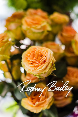 2-23-14 A Chic Affair-Rodney Bailey Wedding Photography-Longview Gallery-Washington DC- Wedding Show__0106