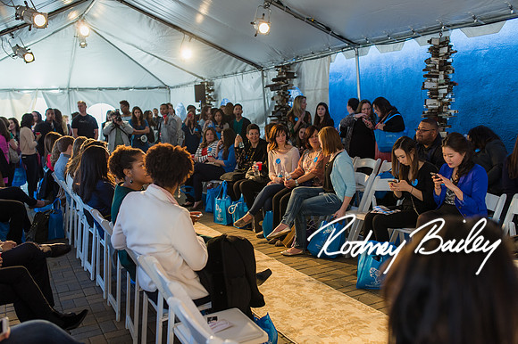 2-23-14 A Chic Affair-Rodney Bailey Wedding Photography-Longview Gallery-Washington DC- Wedding Show__0426