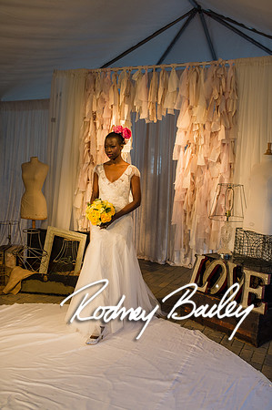 2-23-14 A Chic Affair-Rodney Bailey Wedding Photography-Longview Gallery-Washington DC- Wedding Show__0516