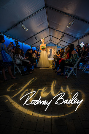 2-23-14 A Chic Affair-Rodney Bailey Wedding Photography-Longview Gallery-Washington DC- Wedding Show__0493