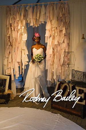2-23-14 A Chic Affair-Rodney Bailey Wedding Photography-Longview Gallery-Washington DC- Wedding Show__0567