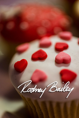 2-23-14 A Chic Affair-Rodney Bailey Wedding Photography-Longview Gallery-Washington DC- Wedding Show__0158