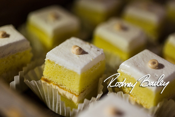 2-23-14 A Chic Affair-Rodney Bailey Wedding Photography-Longview Gallery-Washington DC- Wedding Show__0174