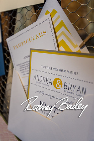 2-23-14 A Chic Affair-Rodney Bailey Wedding Photography-Longview Gallery-Washington DC- Wedding Show__0091