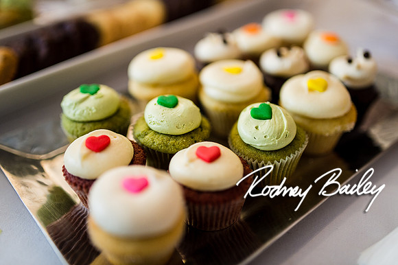 2-23-14 A Chic Affair-Rodney Bailey Wedding Photography-Longview Gallery-Washington DC- Wedding Show__0028