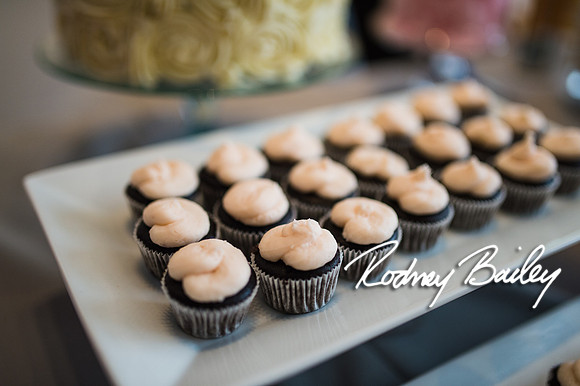 2-23-14 A Chic Affair-Rodney Bailey Wedding Photography-Longview Gallery-Washington DC- Wedding Show__0050