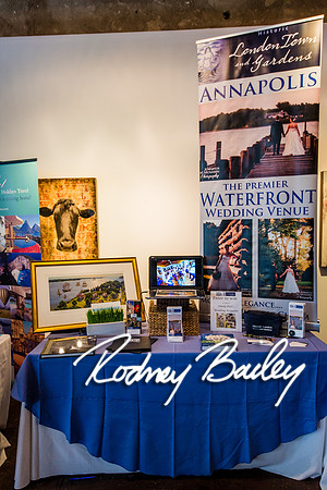 2-23-14 A Chic Affair-Rodney Bailey Wedding Photography-Longview Gallery-Washington DC- Wedding Show__0103