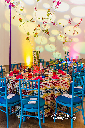 CORCORAN BALL DECOR_Event- Photography_EventPhotojournalism_0003