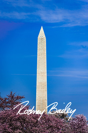 Washington-DC-Monuments-Georgetown-Lincoln-Jefferson-Fireworks-Virginia-Maryland-Rodney-Bailey-event--photographers__0002