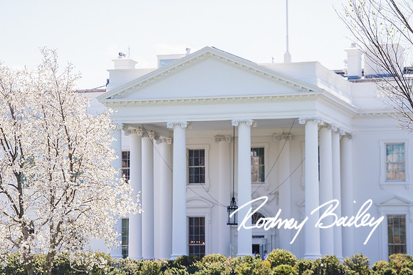Washington-DC-Monuments-Georgetown-Lincoln-Jefferson-Fireworks-Virginia-Maryland-Rodney-Bailey-event--photographers__0008