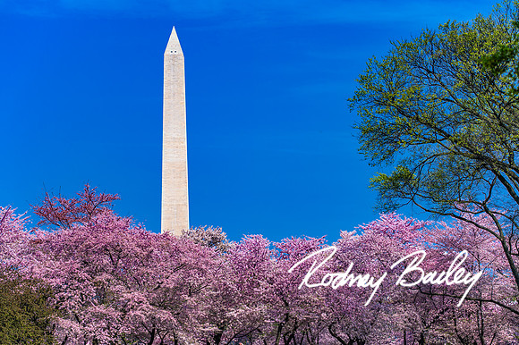 Washington-DC-Monuments-Georgetown-Lincoln-Jefferson-Fireworks-Virginia-Maryland-Rodney-Bailey-event--photographers__0027
