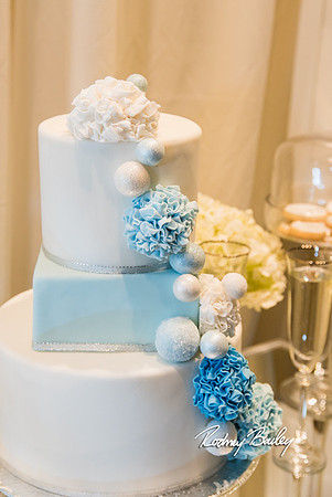 0240__3-1-15_Capital Bridal Affair and Fashion Show_The Mayflower Renaissance_Washington DC_Wedding Photography by Rodney Bailey