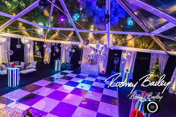 0060__10-17-14 MERIDIAN BALL_RODNEY BAILEY PHOTOGRAPHY_Meridian House Washington DC