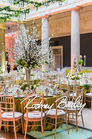 4-25-14 CORCORAN BALL DECOR_Rodney Bailey Photography_EventPhotojournalism_0300