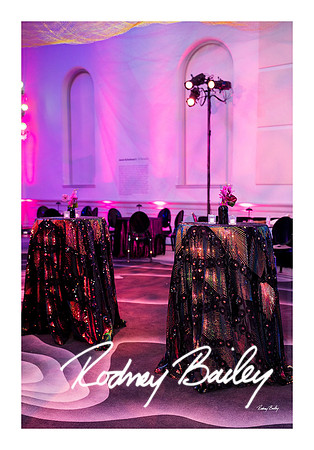 0734_1-11-25_Paul-50th-Birthday-Celebration-Renwick-Gallery-Washington-DC-Rodney-Bailey-Photography