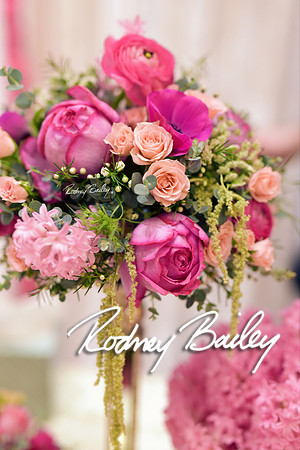 0101_3-1-15_ C a p i t a l   B r i d a l   A f f a i r  &  F a s h i o n   S h o w_Rodney Bailey Wedding Photography Washington DC_Mayflower Hotel DC