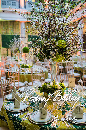 4-25-14 CORCORAN BALL DECOR_Rodney Bailey Photography_EventPhotojournalism_0685