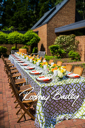 5-20-14 NACE MAY MEETING-GUNSTON HALL_Rodney Bailey Photography_0135